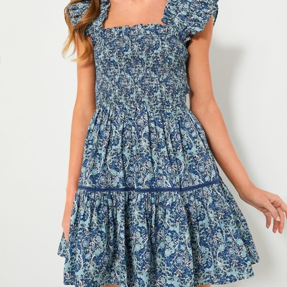 Tuckernuck Hyacinth House Blue Floral Smocked Eleanor Mini Dress SIZE MEDIUM